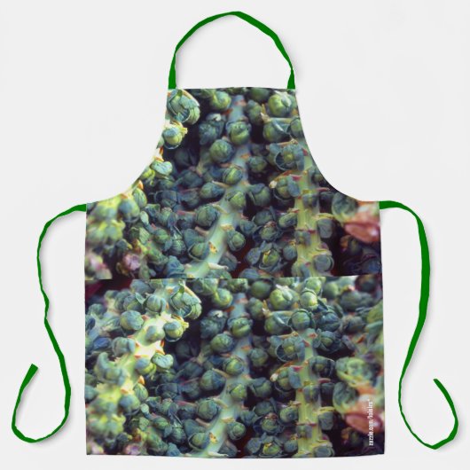 Groenten Schort (Voorkant)