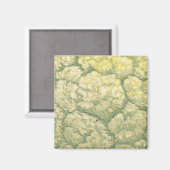 groenten Veggies bloemkool Magneet (Voorkant / Achterkant)