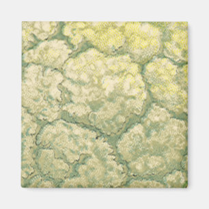 groenten Veggies bloemkool Magneet