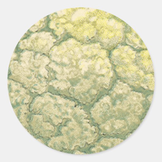 groenten Veggies bloemkool Ronde Sticker (Voorkant)