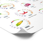 Groenten - Voedingswaarden - infografisch Poster (Hoek)