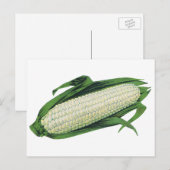  groenten Witte korn op de krab Briefkaart (Voorkant / Achterkant)