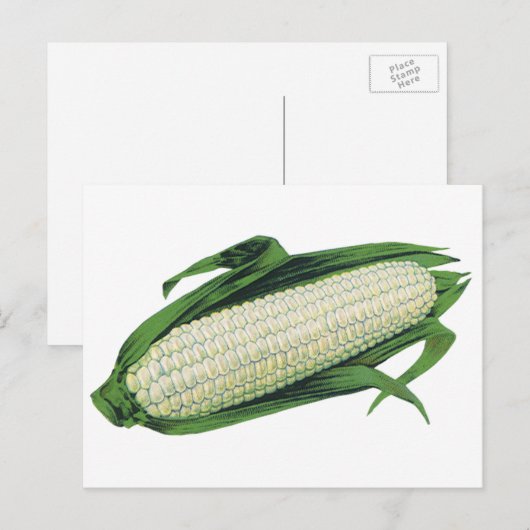 groenten Witte korn op de krab Briefkaart (Voorkant / Achterkant)
