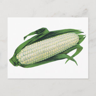  groenten Witte korn op de krab Briefkaart