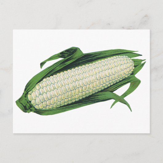  groenten Witte korn op de krab Briefkaart (Voorkant)