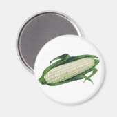 groenten Witte korn op de krab Magneet (Voorkant / Achterkant)