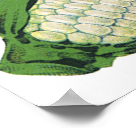  groenten Witte korn op de krab Poster (Hoek)