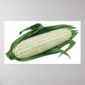  groenten Witte korn op de krab Poster (Voorkant)