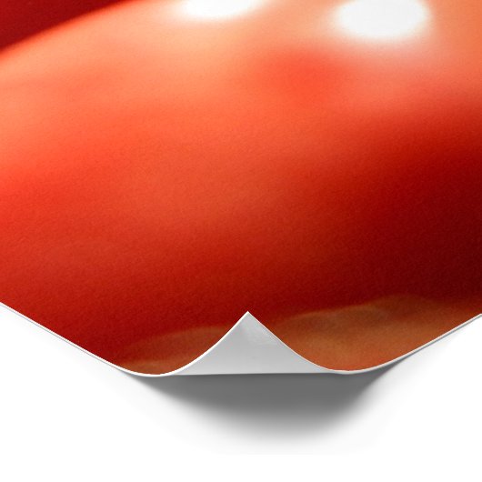 Groentenoogst Poster (Hoek)