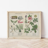 groentenrijk | Charlotte Mary Yonge Poster