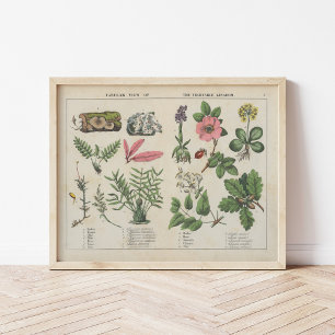 groentenrijk   Charlotte Mary Yonge Poster