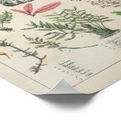 groentenrijk | Charlotte Mary Yonge Poster (Hoek)