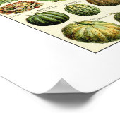  groenteschema Adolphe Millot Poster (Hoek)