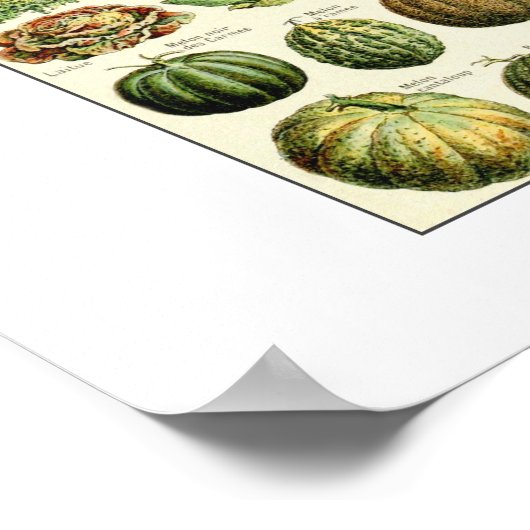 groenteschema Adolphe Millot Poster (Hoek)