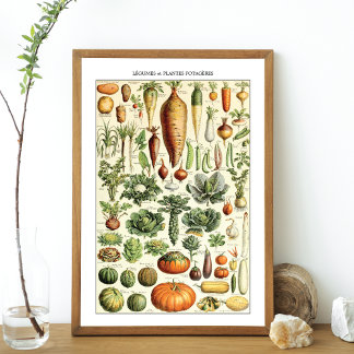 groenteschema Adolphe Millot Poster