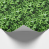 Groentevoeding Groene sla Cadeaupapier (Hoek)