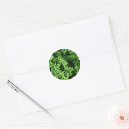 Groentevoeding Groene sla Ronde Sticker (Envelop)