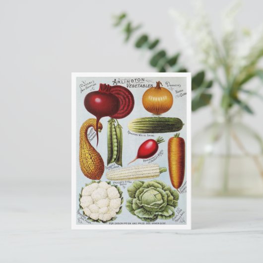  Groentezaad Catalogus Illustratie Briefkaart (Staand voorkant)