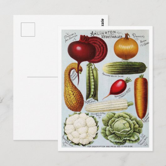  Groentezaad Catalogus Illustratie Briefkaart (Voorkant / Achterkant)