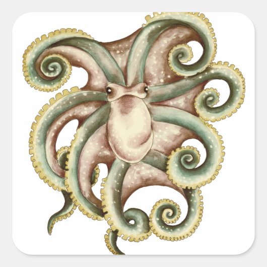 Groenvis Octopus Vierkante Sticker (Voorkant)