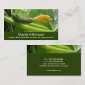 groenvoeder plantaardig visitekaartje (Voorkant / Achterkant)