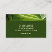 groenvoeder plantaardig visitekaartje (Achterkant)