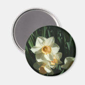 groep1 054 Narcissus Magneet (Voorkant / Achterkant)