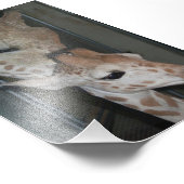 Groep 4X6 Afdrukken #4 Foto Afdruk (Hoek)