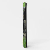 Groep adorable katjes. Case-Mate iPhone case (Achterkant/links)