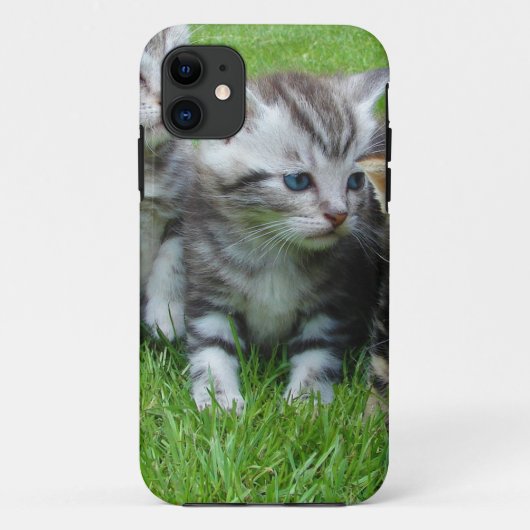 Groep adorable katjes. Case-Mate iPhone case (Achterkant)