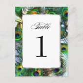 Groep als Pacock- Lijst Aantal plaatste 1116 Briefkaart (Voorkant)