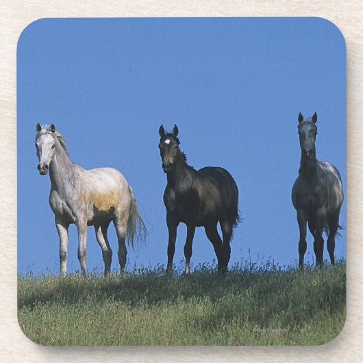 Groep Arabieren Bier Onderzetter (Voorkant)