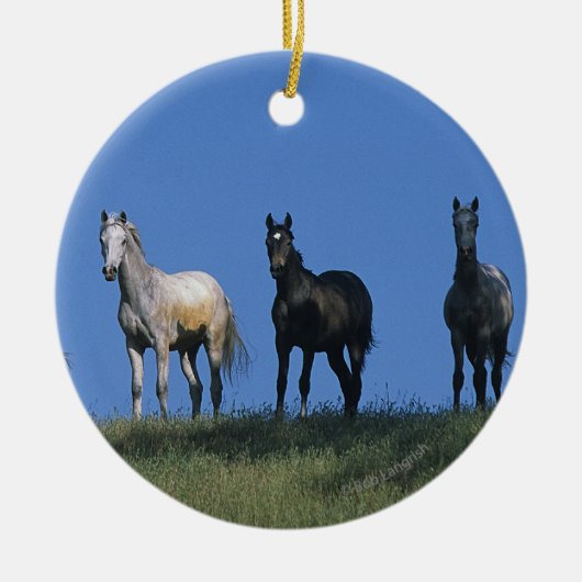 Groep Arabieren Keramisch Ornament (Voorkant)