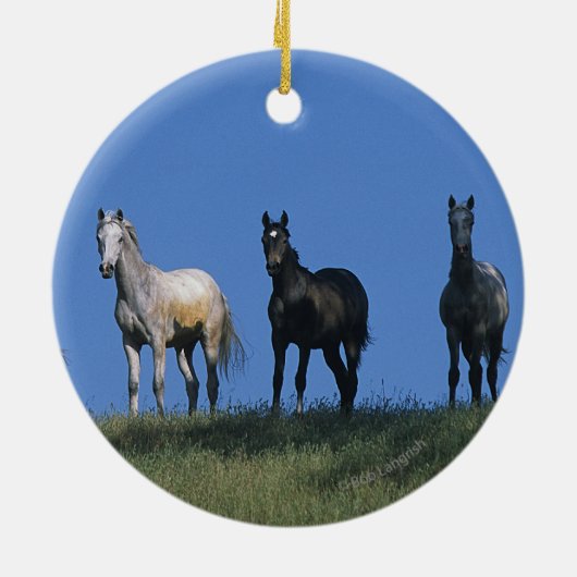 Groep Arabieren Keramisch Ornament (Achterkant)