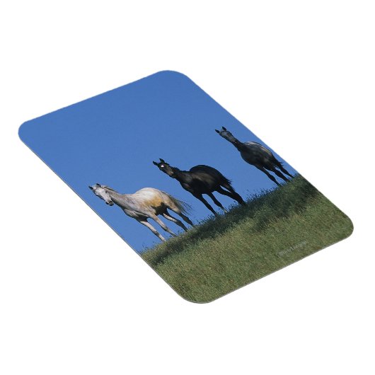 Groep Arabieren Magneet (Rechterzijde)