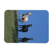 Groep Arabieren Magneet (Horizontaal)