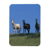 Groep Arabieren Magneet (Verticaal)