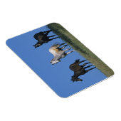 Groep Arabieren Magneet (Rechterzijde)