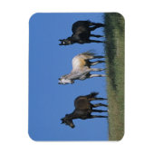 Groep Arabieren Magneet (Verticaal)