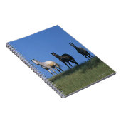 Groep Arabieren Notitieboek (Rechterzijde)