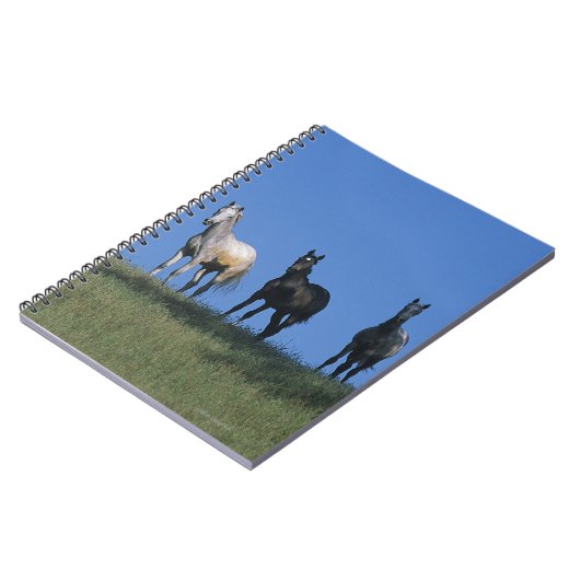 Groep Arabieren Notitieboek (Linkerzijde)