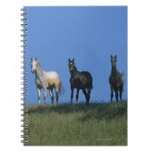 Groep Arabieren Notitieboek (Voorkant)