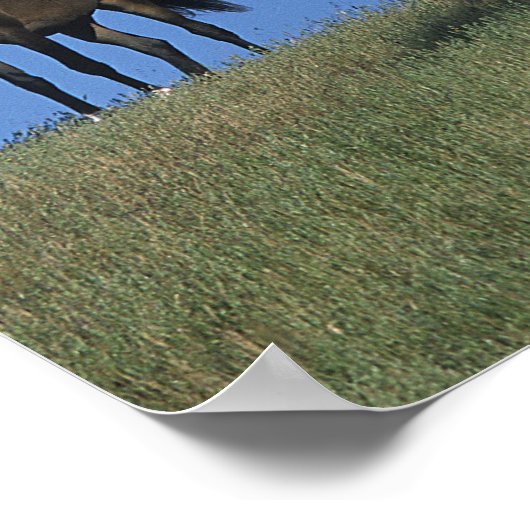 Groep Arabieren Poster (Hoek)