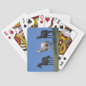 Groep Arabieren Speelkaarten (Achterkant)