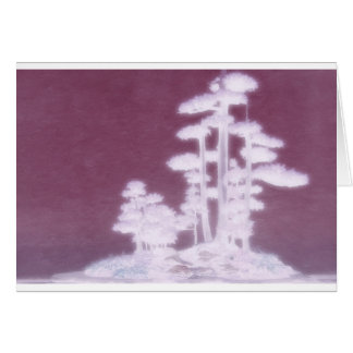 Groep Bonsai Pine Trees