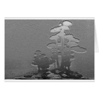 Groep Bonsai Pine Trees in Metallic Silver