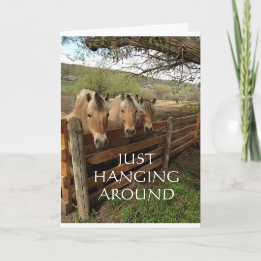 GROEP COOLHORSES ZEGGEN "HAPPY BIRTHDAY" KAART (Voorkant)