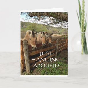 GROEP COOLHORSES ZEGGEN "HAPPY BIRTHDAY" KAART