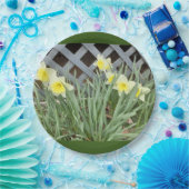 Groep Daffodils Papieren Bordje (Feest)
