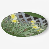 Groep Daffodils Papieren Bordje (Gekanteld)